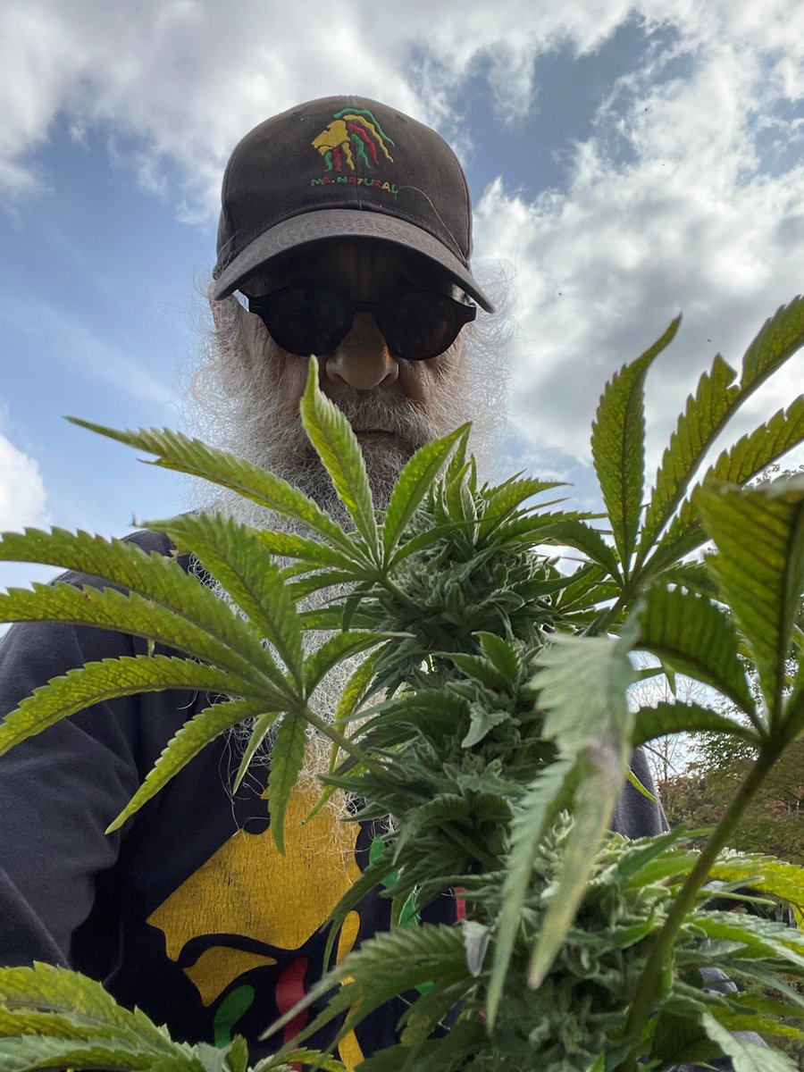 Terry Booth tweet media