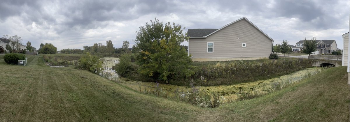 outmybackdoor7's tweet photo. Cloudy conditions today with some rain โ๏ธ ๐ง๏ธ #rain #cloudy #cool #autumn #outdoors #nature #duckweather #october #gray #reflections #greenery #golden #fall #ohio #outmybackdoorbydenise #moody #aesthetics https://t.co/90R4lipxVa