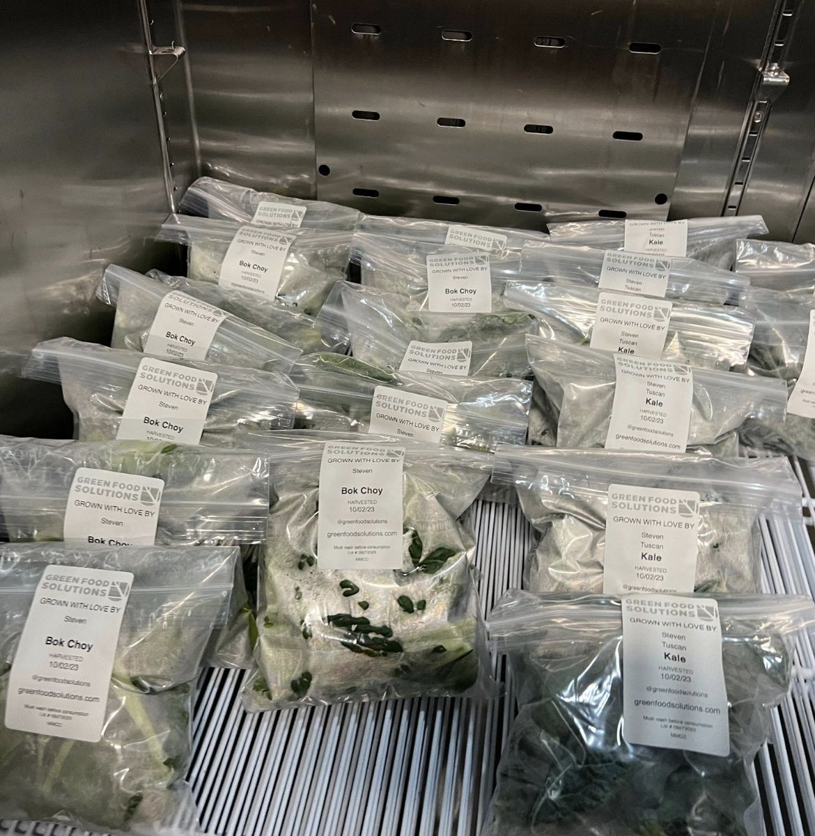 Growing Peace tweet media