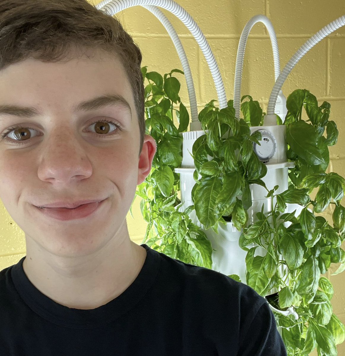 Growing Peace tweet media