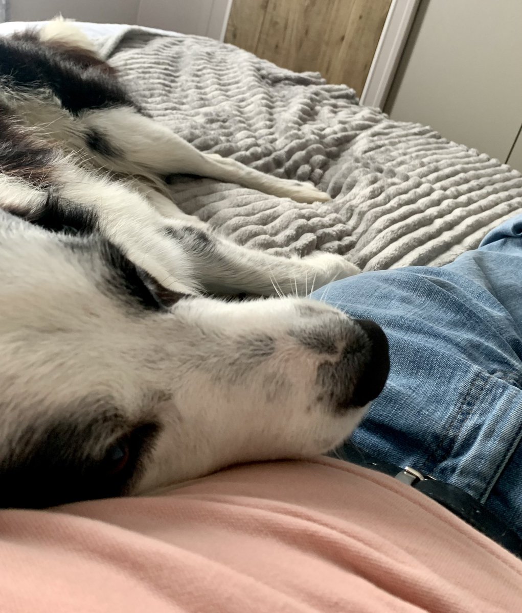 Snuggles are underway, Goodnight everyone 😘