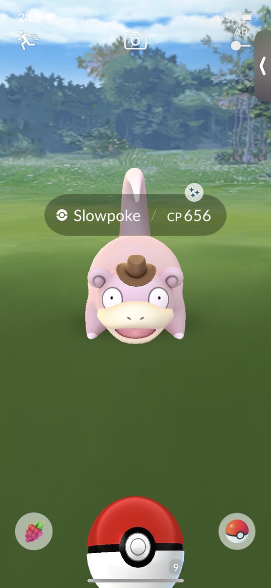 Howdy shiny! 🤠