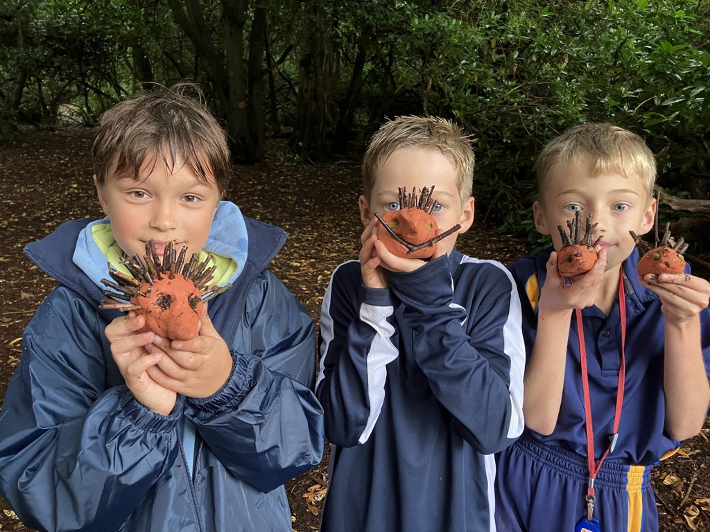 gabriels_ed's tweet photo. Year 6 Pathfinders club working on their hedgehog badge #adventureforall https://t.co/MVnRMj3B9c