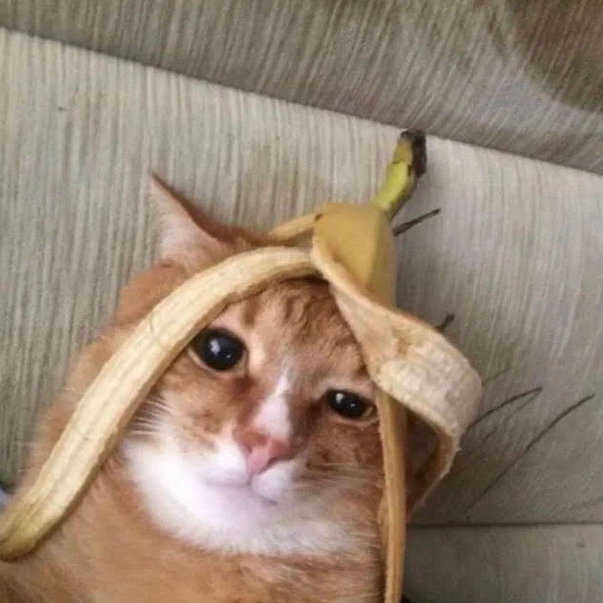 Aries 🌙 tweet media