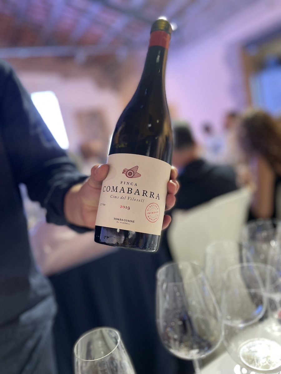 Ultima convención del año!! Empieza el rock and roll <a href="/vilaviniteca/">vilaviniteca</a> Gracias @CASTELLDELREMEI