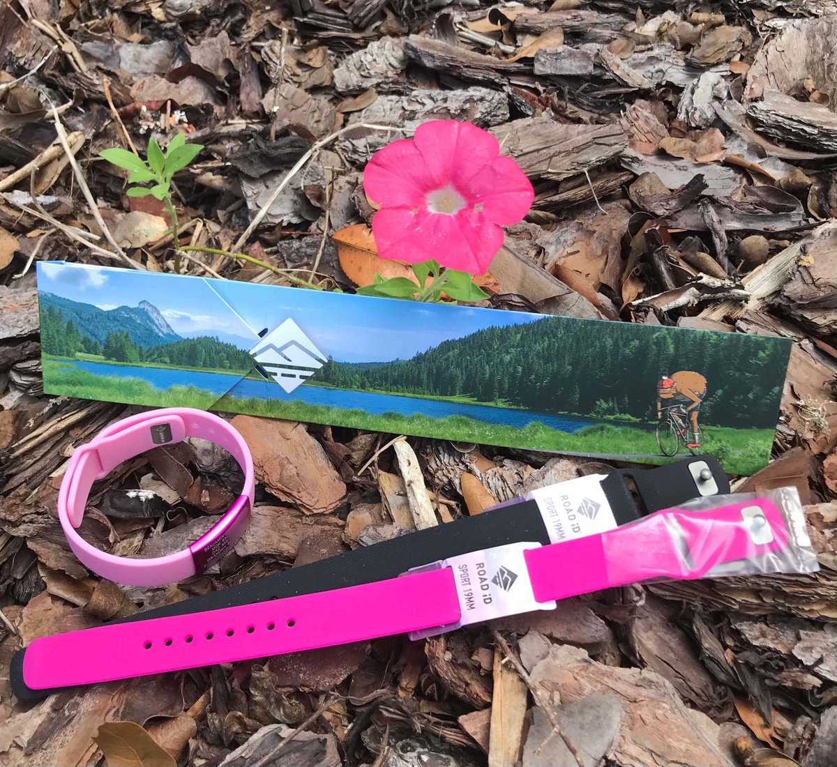 wortholomew's tweet photo. While Oct. is a time for ghouls &amp; the occasional running taco, there’s also hope &amp; beauty.

@ROADiD’s #PinkID is back in multiple styles, &amp; $10 from each sold goes to the American Cancer Society. Check them out at https://t.co/0pt2fpeNrT.

#TeamROADiD #ROADiD #DogID #RunChat

1) https://t.co/tVRpGLZjd4