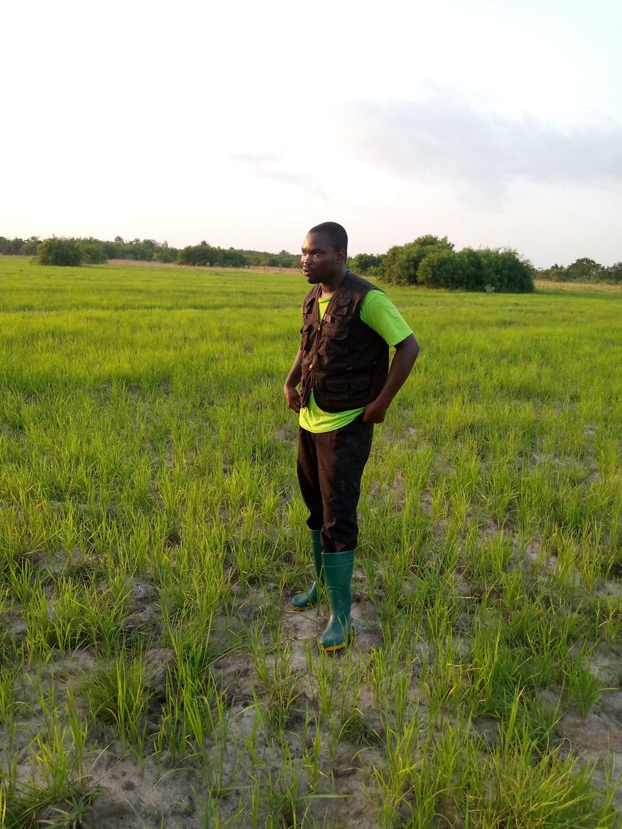 ViFarmsGh's tweet photo. #LazyGhanaianYouth 

#LeanPork #PigFarmer
#SDGs 
#SustainableFinance #RuralEnterprise #RuralDevelopment https://t.co/vTgQwLI8lD
