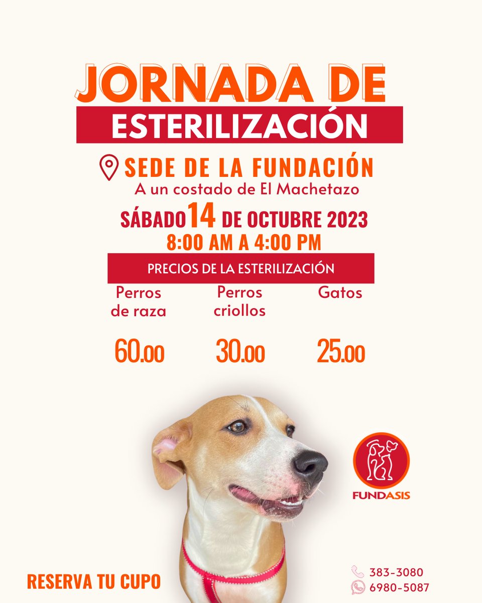 Fundación San Francisco de Asís ( FUNDASIS ) tweet media