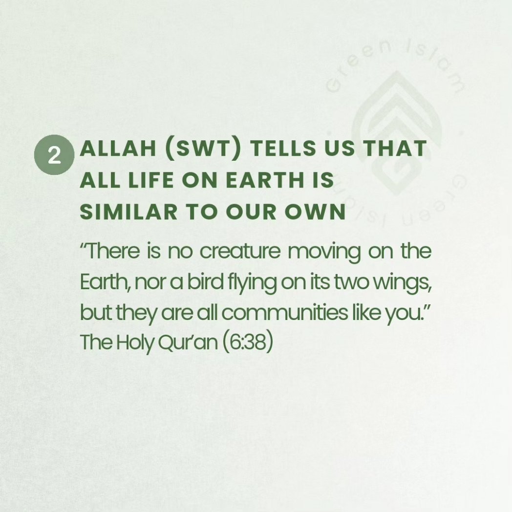 greenislamorg's tweet photo. Did you know?

There is a duty on Muslims to protect the environment in Islam.

Learn more: https://t.co/mfs4AoIiIH 
#greenislam https://t.co/13QQ3dqlez