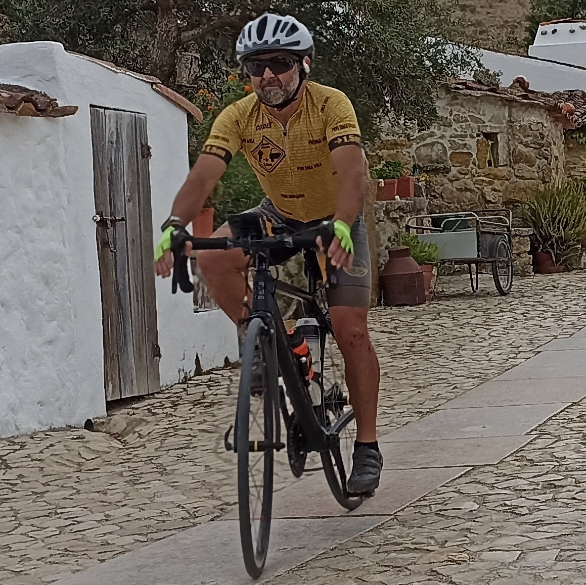 Adelino Gonçalves tweet media