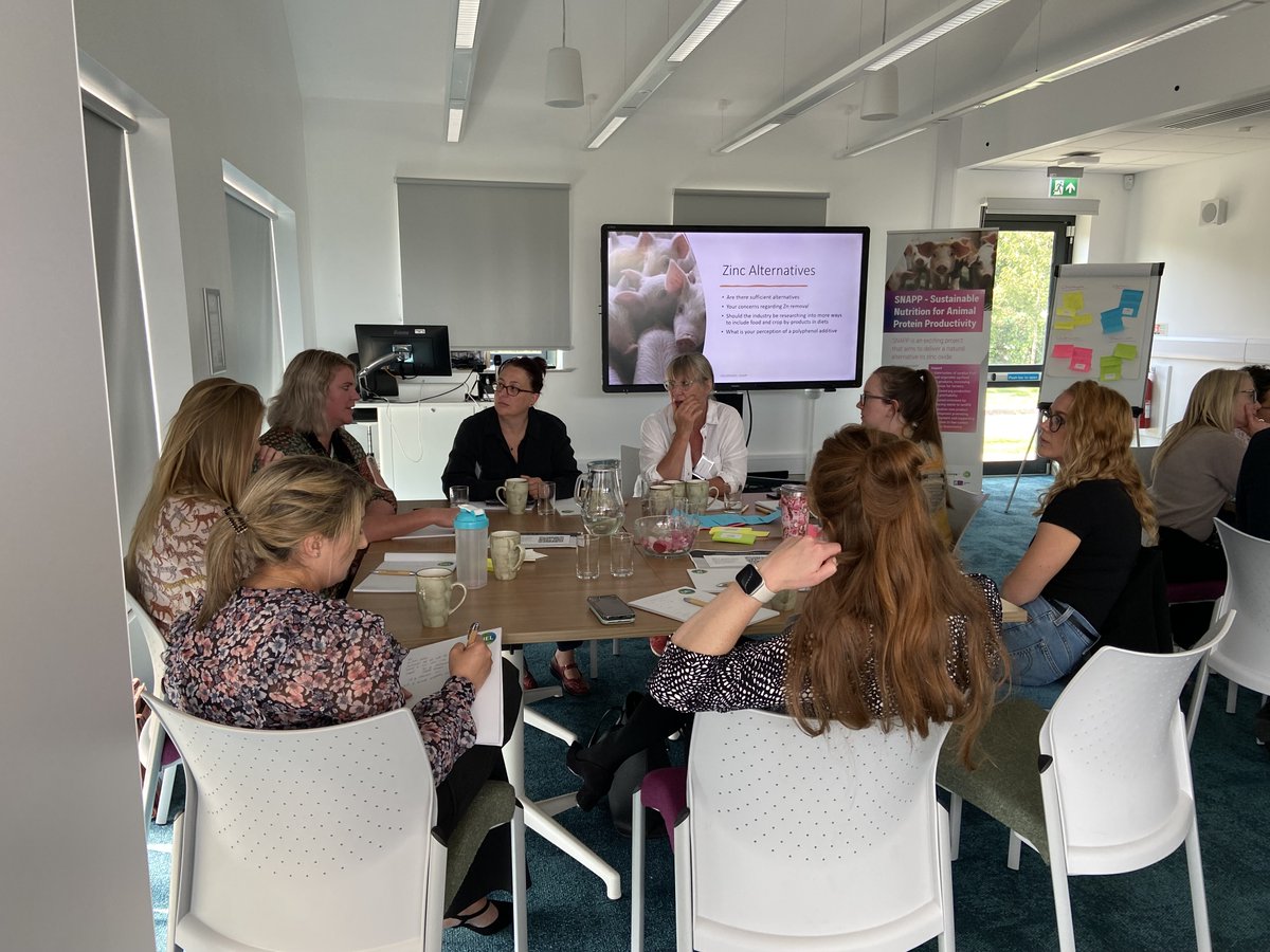 CIELivestock1's tweet photo. As part of CIEL's #SNAPP project, we were joined at @NatPigCentre by processors, #farmers, #pigfeed & #feedadditive companies to look at and discuss #sustainable plant-derived alternatives to #zincoxide.
Learn more 👉https://t.co/lBTY7R4onV https://t.co/9GkVadgoB4