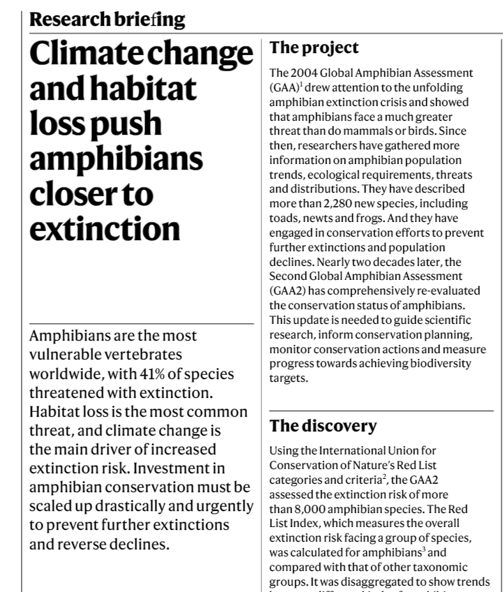 Kelsey Neam tweet media