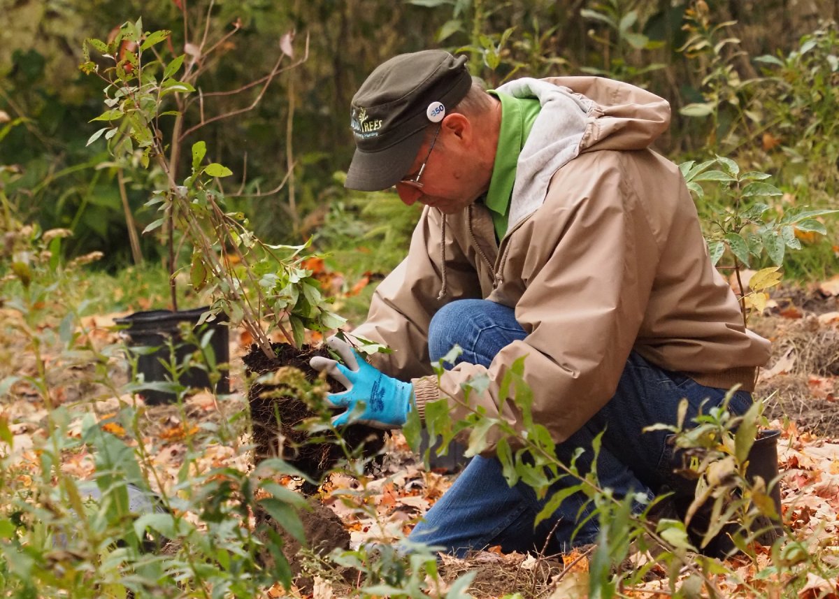 RougePark's tweet image. Last chance to register for our planting event with 10,000 Trees at Rouge National Urban Park! Join us in nurturing nature: 10000trees.com

📸 Gary James