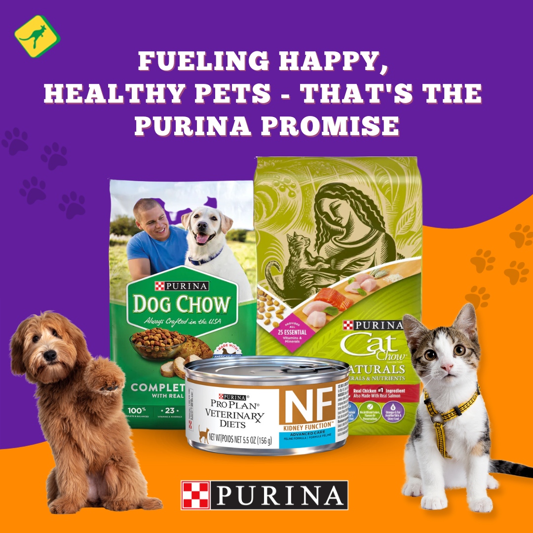 SouthernAgOK's tweet photo. Purina: Unleash the Flavor! 🐾🍖 Our Purina dog and cat food is packed with love and nutrition, keeping your furry friends happy and healthy. Treat your pets to the best! 🐶🐱 
#PurinaPets #NutritionWithLove #SouthernAgriculture #HealthyPets #HappyTails https://t.co/BO0olorxgZ