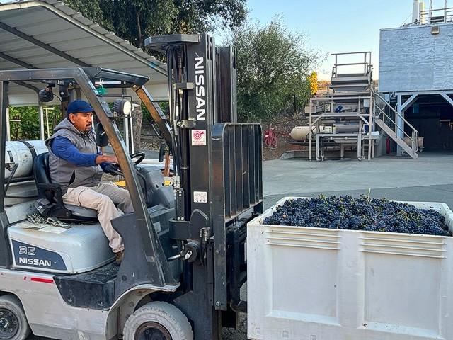Schug Winery tweet media