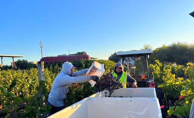 Schug Winery tweet media