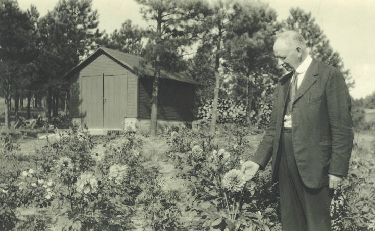 dclarchives's tweet photo. This one's a beaut! 🌸 These blooms grew in Larkspur, near the American Federation of Human Rights building. The shed in the background was also known as the Swiss Chalet. This image is part of the American Federation of Human Rights photo collection, 2009.105.0047. https://t.co/bWlCquQCYj