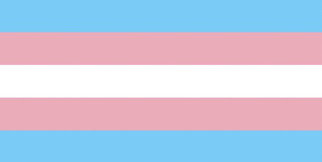 Trans rights are human rights 🏳️‍⚧️ #TransRightsMatter #LGBTQ