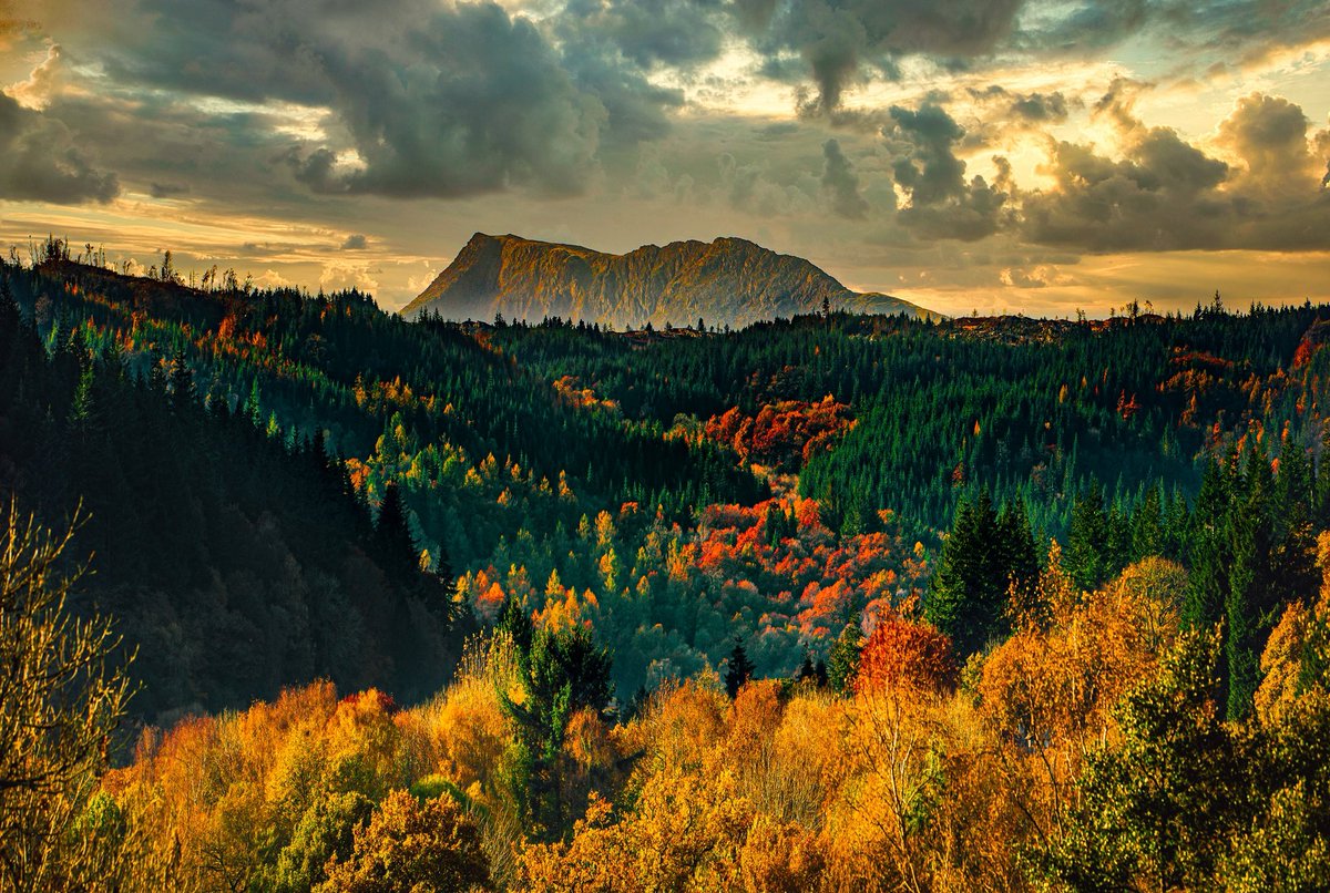 Wales in North America 🏴󠁧󠁢󠁷󠁬󠁳󠁿 tweet media