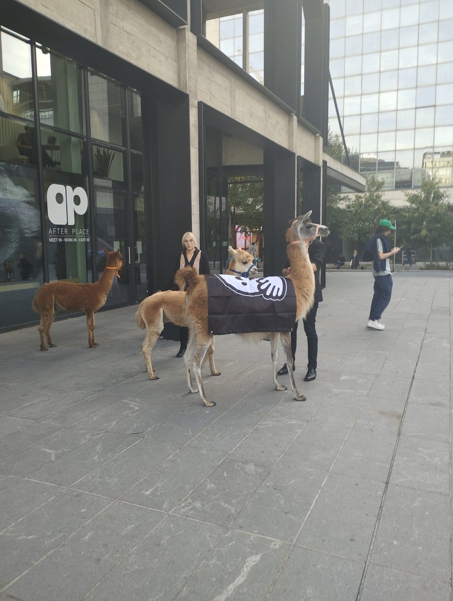 Catch us by the lamas at the <a href="/huggingface/">Hugging Face</a> event 🫡