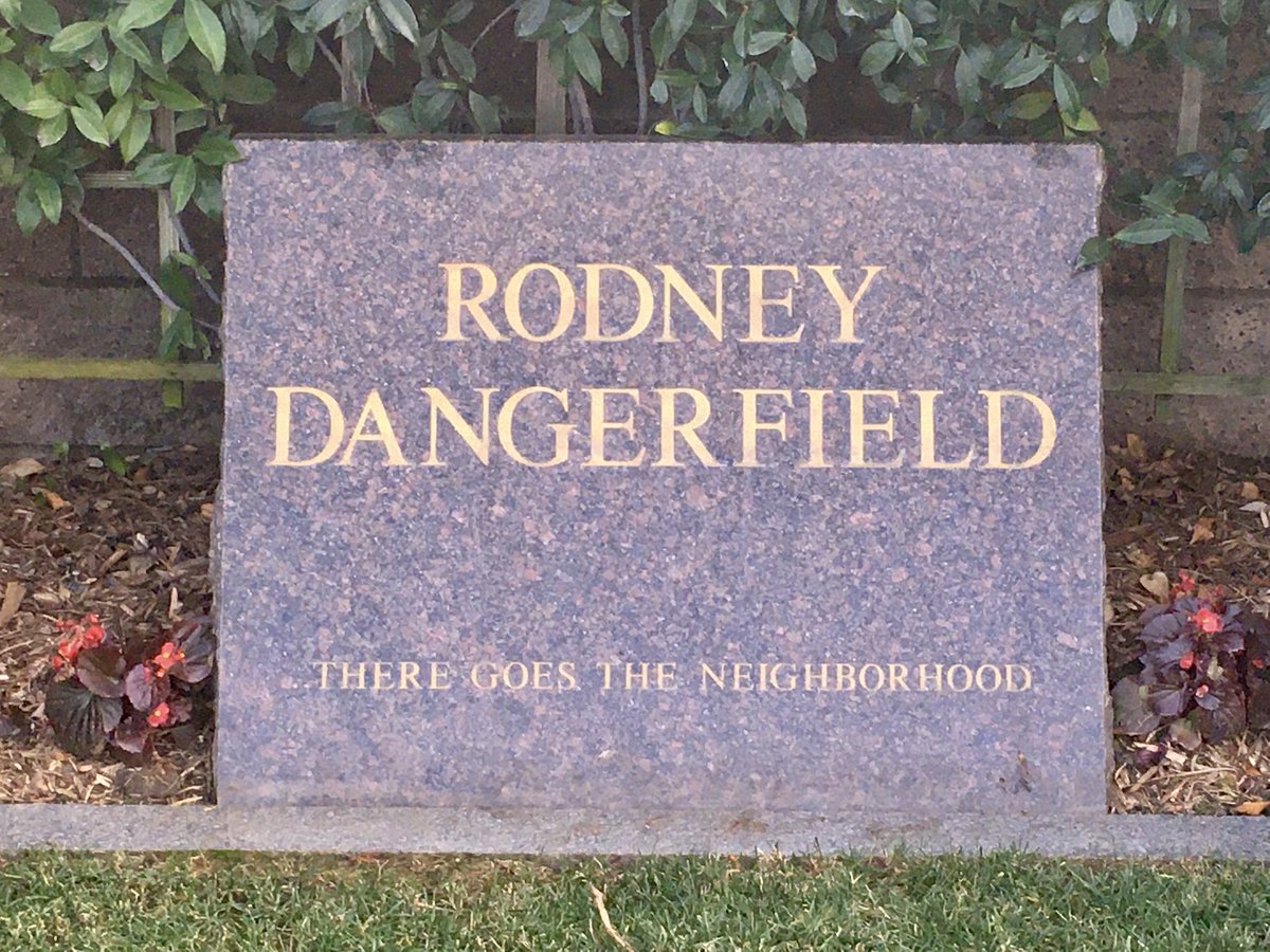 American entertainer #RodneyDangerfield died #onthisday in 2004. #comedian #funny #laugh #humor #comedy #filmmaker #author #actor #Idontgetnorespect #norespect #oneliners #deadpan #trivia #selfdeprecation #Caddyshack #EasyMoney #BacktoSchool #NaturalBornKillers #Grammy…