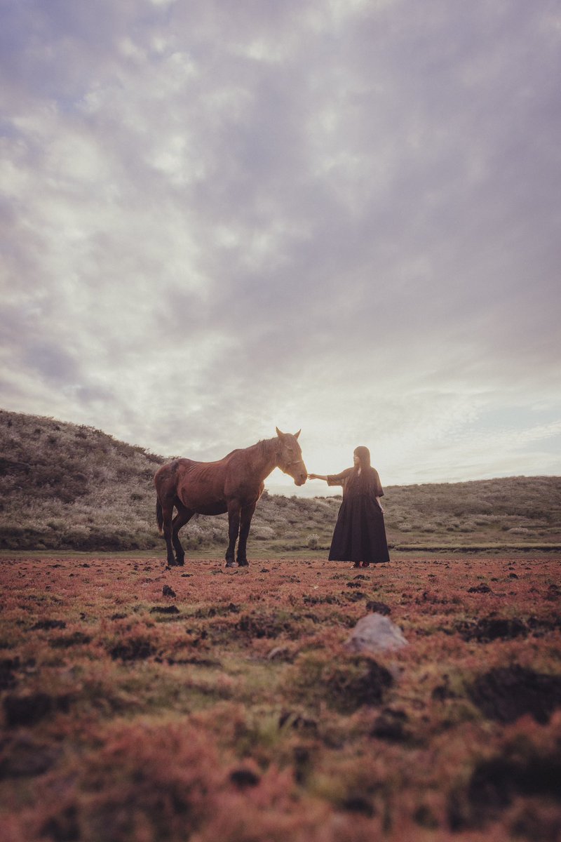_tar_foto's tweet photo. 『each other』    
　.     
　.       
　#EOSR5 + #oldlens 
　#portraits #autamn
　#horse #wildland 
　.     
　.     
　m: 山中夏歩さん( @9oooona ) https://t.co/pYGTispuK0