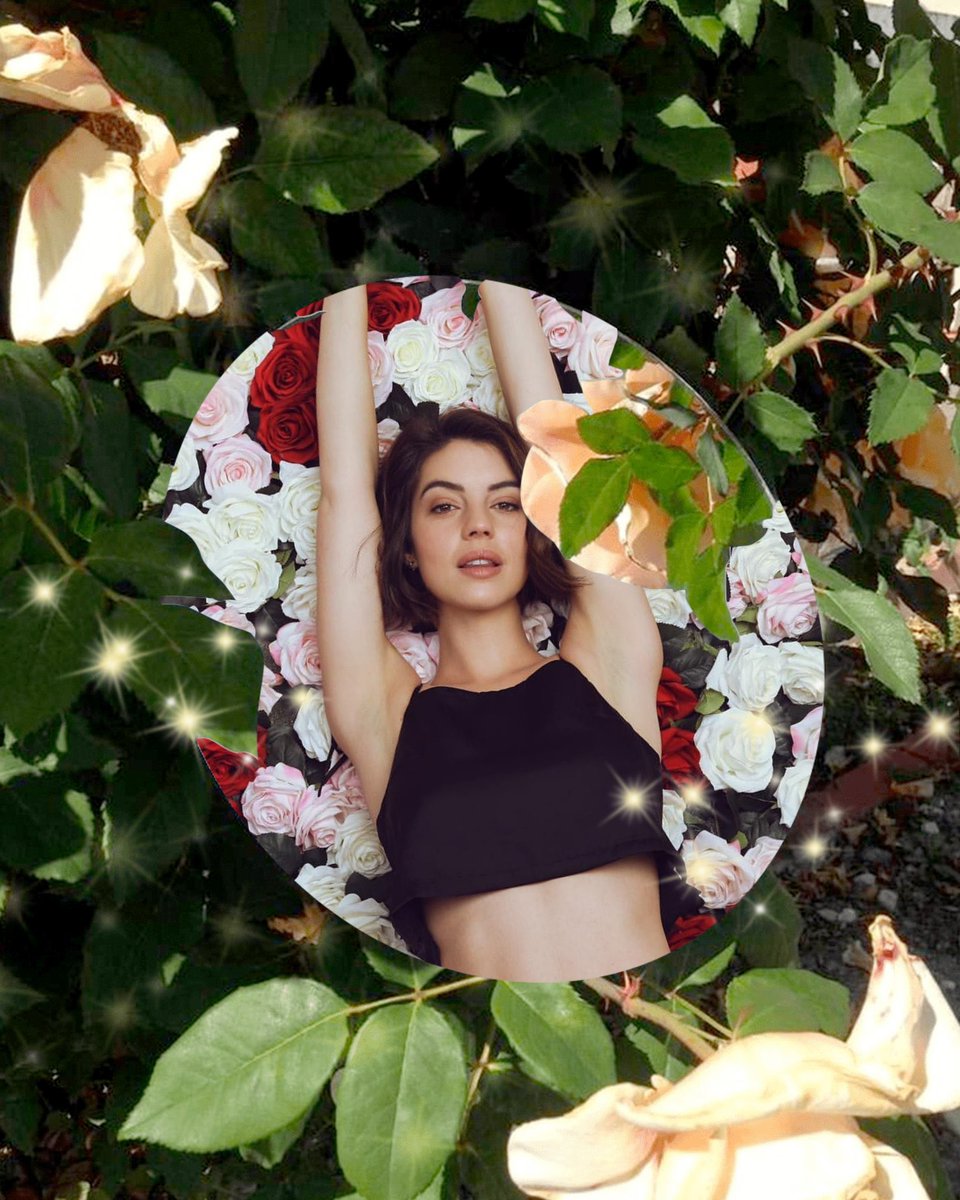 Credit to my grandma <a href="/HayleyMikQueen/">𝑯𝒂𝒚𝒍𝒆𝒚 -𝐿𝑖𝑡𝑡𝑙𝑒 𝑊𝑜𝑙𝑓 ☪</a> I love them