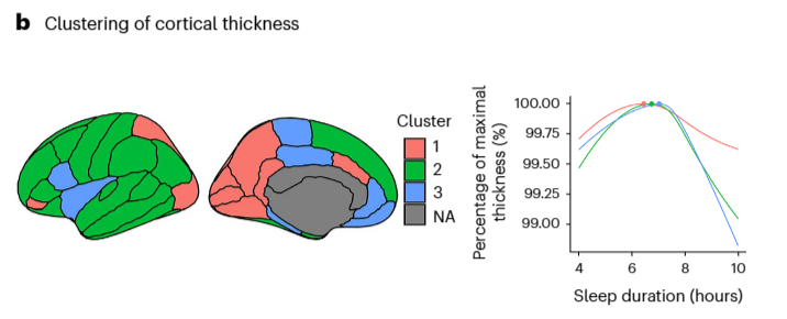 AndersFjell's tweet photo. Those report sleeping 6.5 h pr. night have thickest cortex &amp; largest brain vols. Short sleep not associated with atrophy. Healthy brains promote adequate sleep, which is shorter than recommendations. >50k MRIs @NatureHumBehav @LifebrainEU @LCBC_UiO https://t.co/wBB1s2YocF https://t.co/Kc8hDenlVB