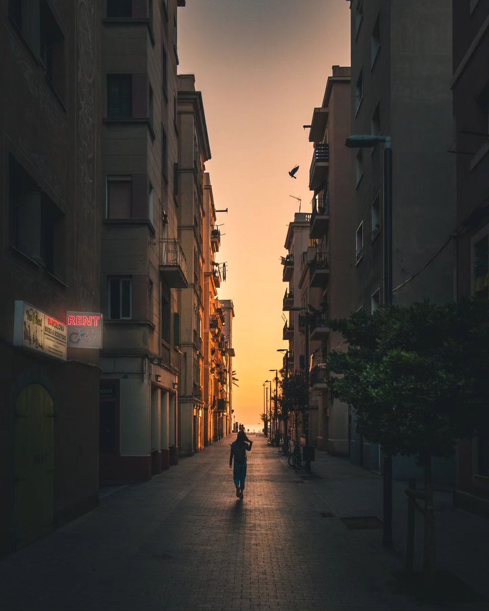 thisis_bcn_EN's tweet photo. 🏖️ From the beaches of the Barceloneta, to the @whotels hotel and the Mapfre Towers, Barcelona's coastal landscape is full of different styles of buildings! Do you know them all? 🤔
📸 thegoransgram (IG)
#visitbarcelona #autumninbarcelona #whotelbarcelona #torresmapfre https://t.co/fvqJyrZYcI