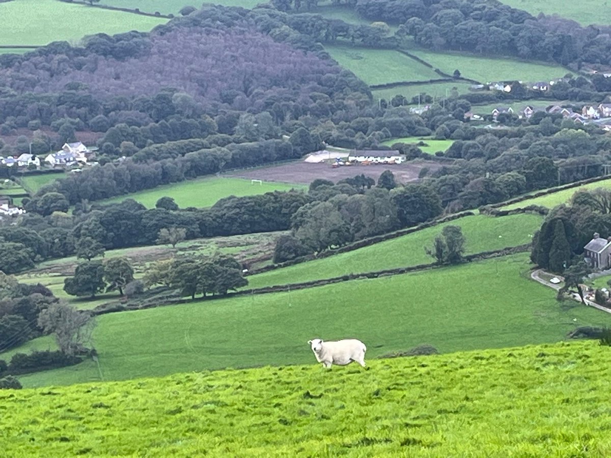 Llan Rangers BGCW tweet media