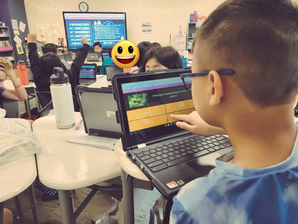 Kristi Shepherd tweet media