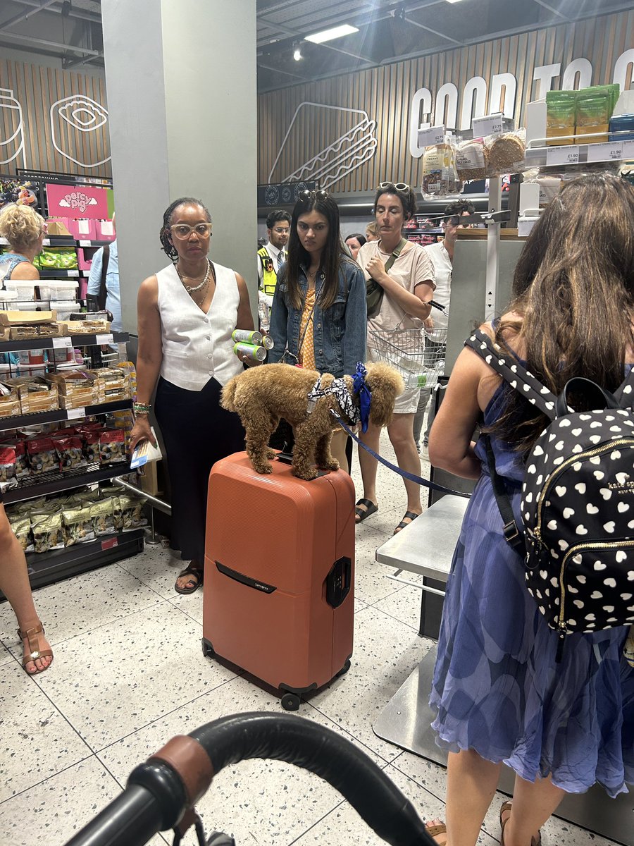 walkingfedblog's tweet photo. @charliersmith1 Charlie, I’m so sorry to hear that you felt this way but I am overjoyed you are still here. Lots of love from a stranger on the internet. Plus a pic of a dog I saw at the train station the other week xxx https://t.co/PP1r7zlkG4