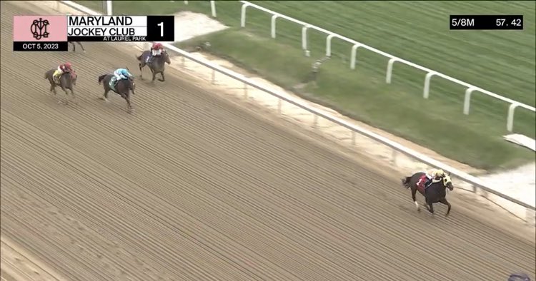 Jane Cibelli Racing (@cibelliracing) on Twitter photo Inveigled sprints clear under <a href="/jockey_charlie/">Charlie Marquez</a> <a href="/LaurelPark/">The Maryland Jockey Club, Inc.</a> #goteam Inveigled sprints clear under <a href="/jockey_charlie/">Charlie Marquez</a> <a href="/LaurelPark/">The Maryland Jockey Club, Inc.</a> #goteam