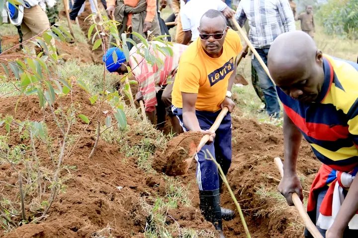 MuramvyaProv's tweet photo. kuruyu wa 05.10.2023,Buramatari @MuramvyaProv yifadikanije n'abenegihugu bo kumutumba #Gatebe, zone #Bugarama mu bikorwa vyo gukingira ibidukikije,akaba yanateye akamo abenegihugu guca imikobeko kubwinshi mugukinga inkukurura nkuko abahinga bibirere babishikirije
@BMineagrie 
1/2 https://t.co/J5TRKOkuW3