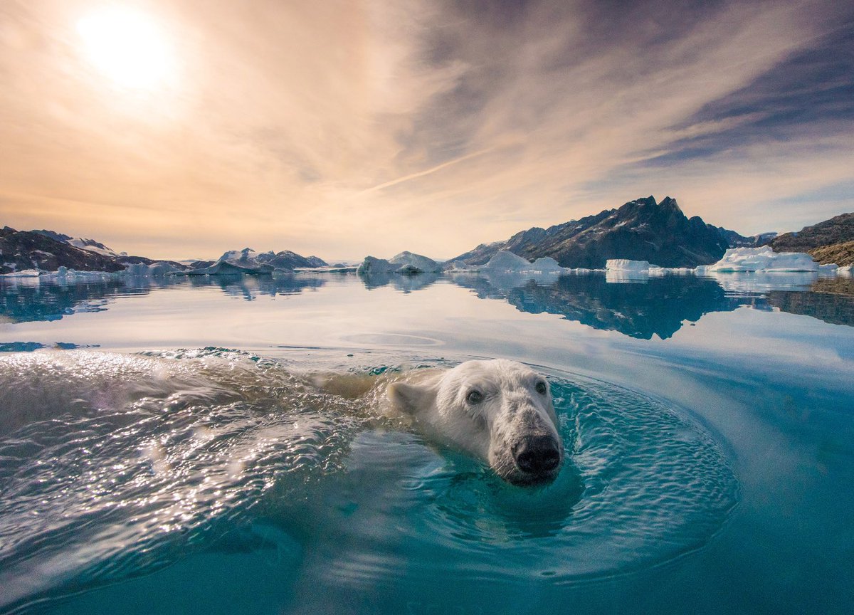 Changemaker Talent tweet media