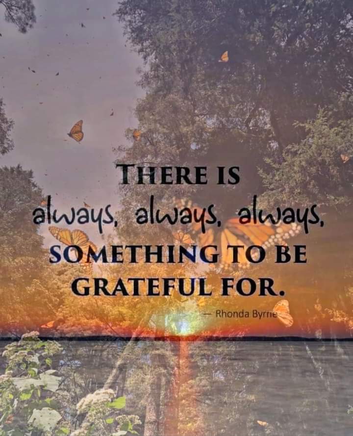 1kamaljitsingh's tweet image. 