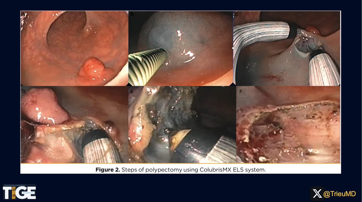 Judy Trieu, MD, MPH tweet media