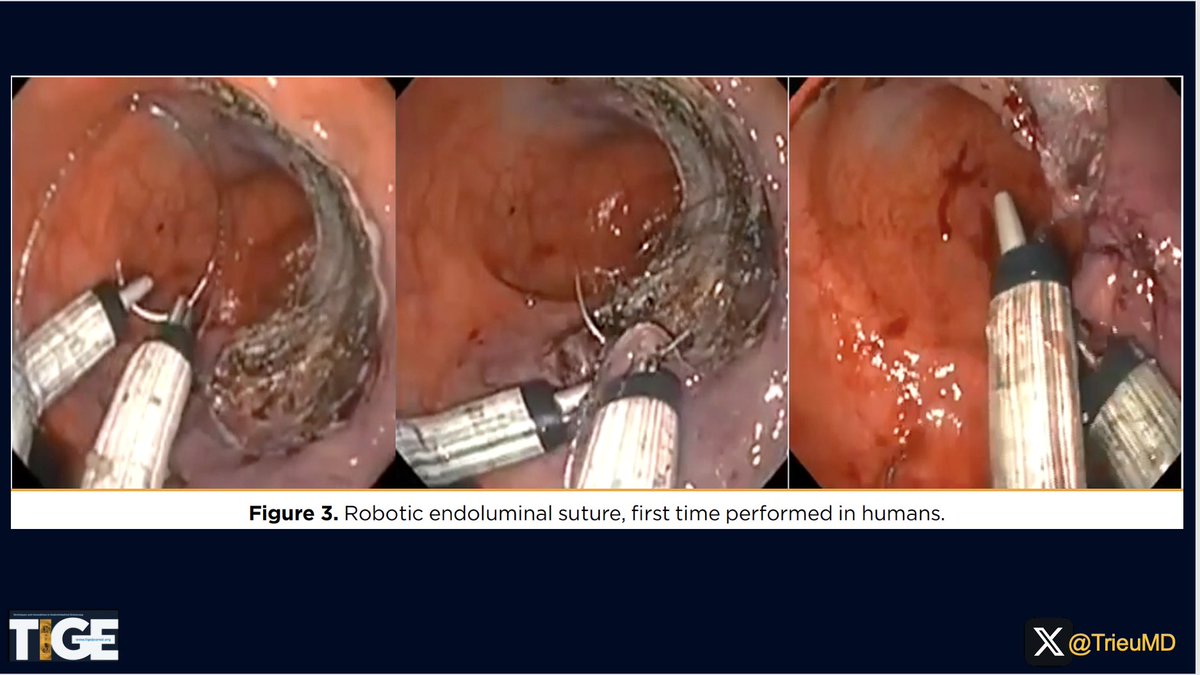 Judy Trieu, MD, MPH tweet media