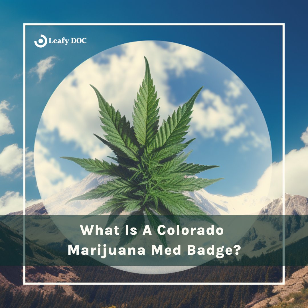 LeafyDoc's tweet photo. 🌿 Curious about the Colorado Marijuana Med Badge? Get the lowdown on this key cannabis industry credential.

https://t.co/EfBtcaaGWD

#MedBadge #ColoradoCannabis #CannabisNews #SmokeWeedEveryDay #Hemp #Ganja #PotCulture #CannabisIndustry 🌱💼 https://t.co/Kbmo5aQ4al