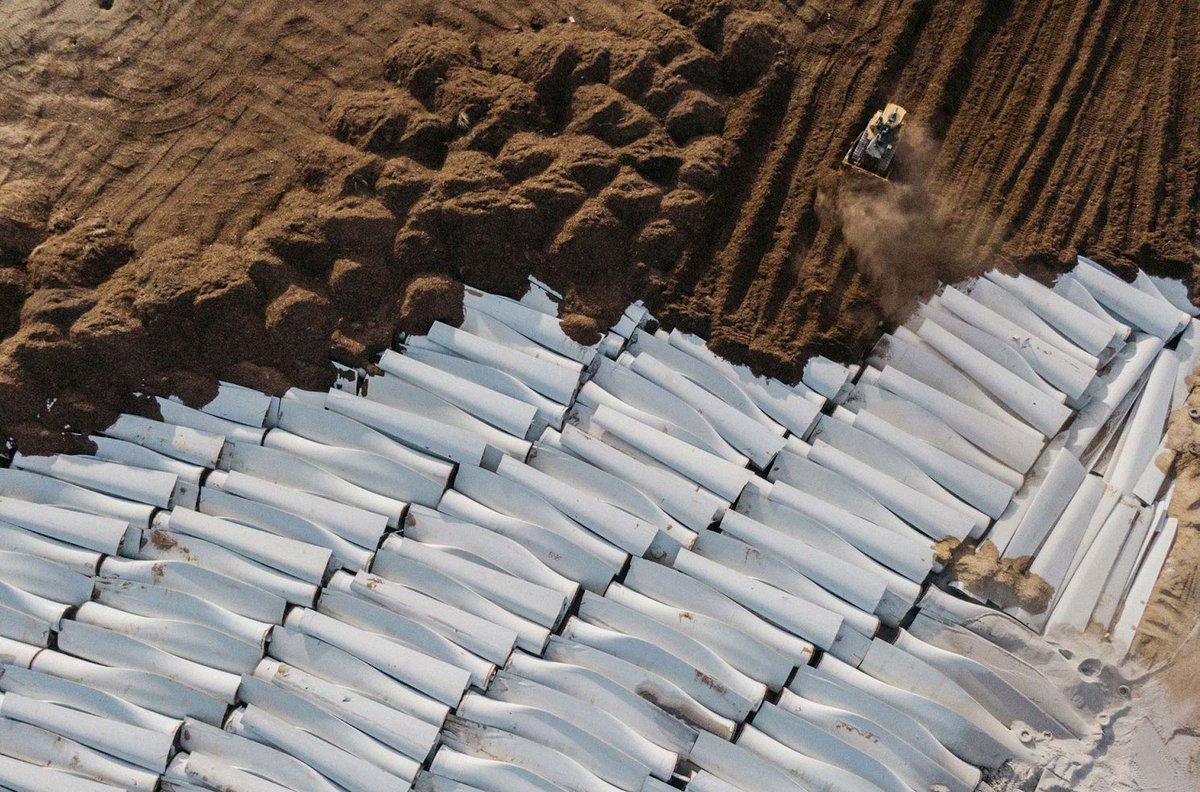 Tinman🤪🇺🇲 tweet media