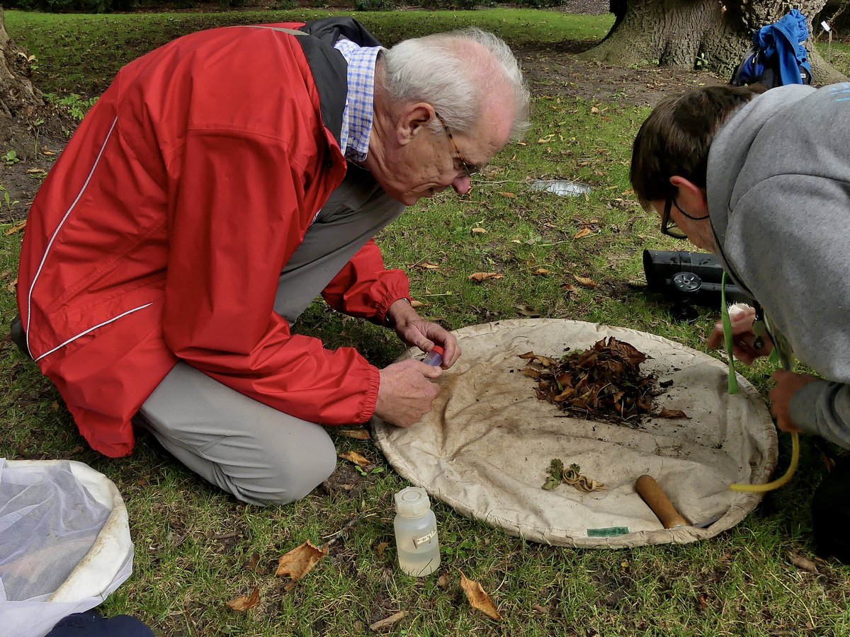 TaxonFoundation's tweet photo. Afgelopen vrijdag heeft een groep enthousiaste Vrienden van de @HortusLeiden ons geholpen met de biodiversiteitsinventarisatie van de Hortus voor Expeditie Singelpark. @Plastic_spotter was er ook weer bij om naar waterdiertjes te zoeken in de aangrenzende grachten. https://t.co/jK2WJ6rw8v