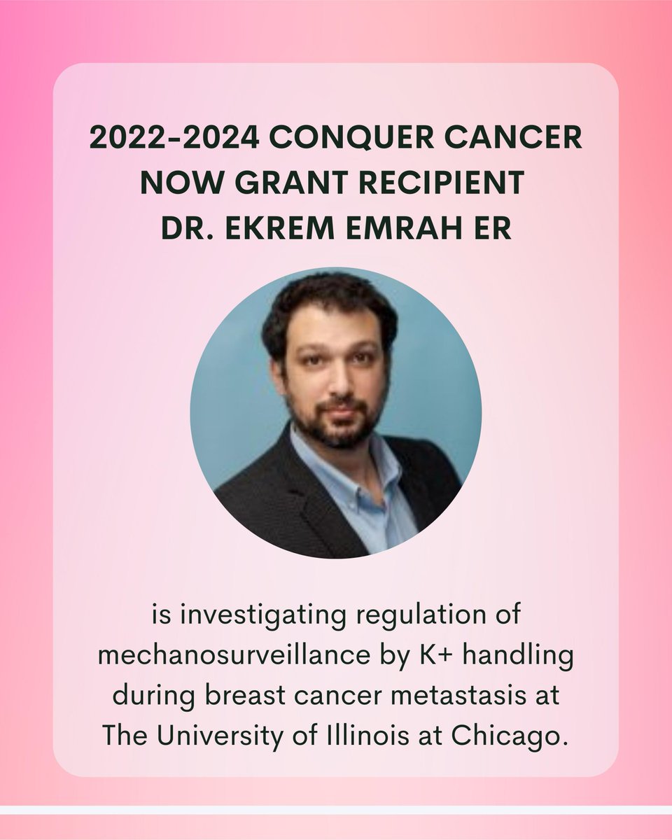 CONCERN FOUNDATION tweet media