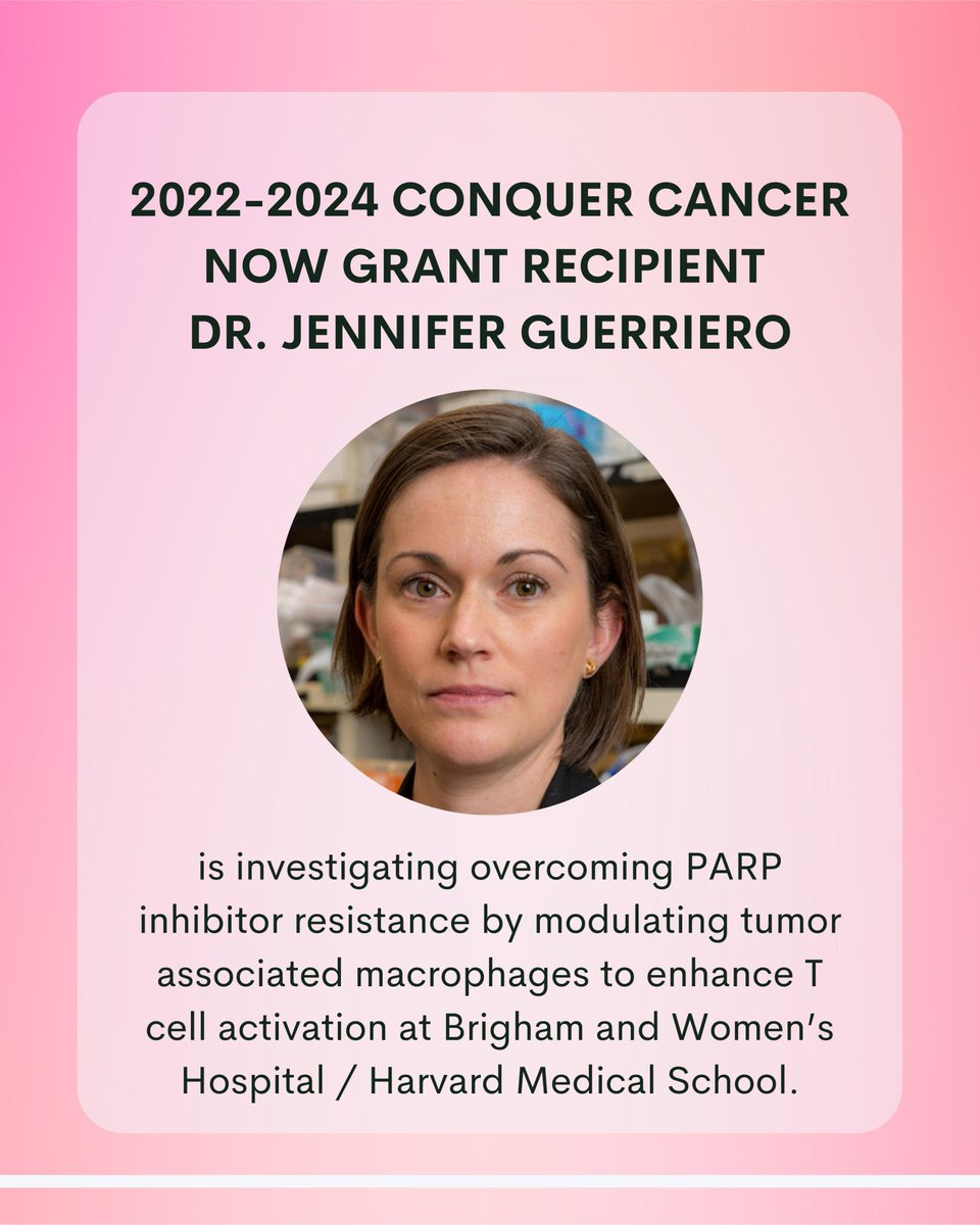 CONCERN FOUNDATION tweet media