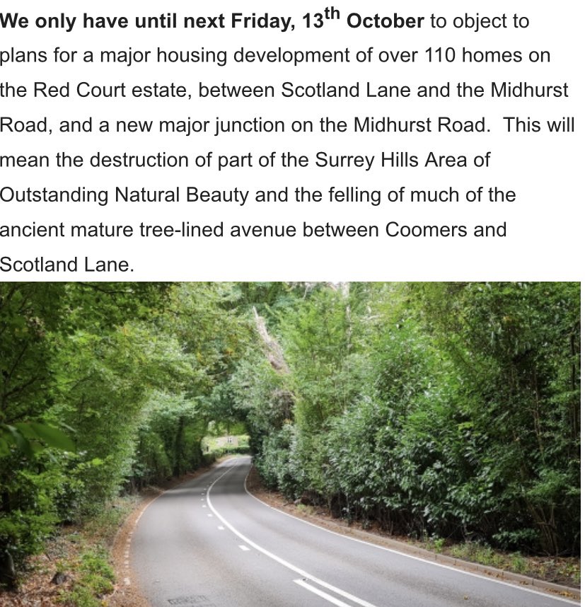 HaslemereSouth's tweet photo. Want to keep this tree canopy over the Road into Haslemere? Youβd better get ready to join #teamprotect https://t.co/8CZ3HvWApG