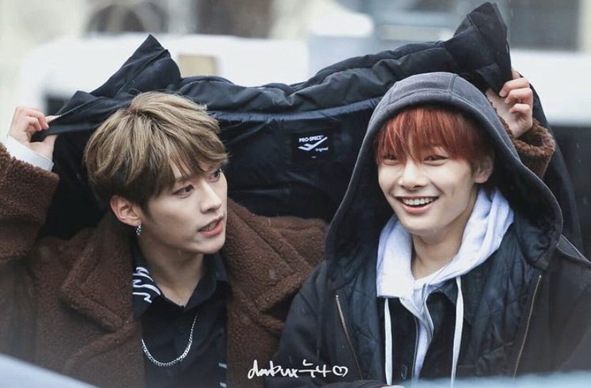 호랑이수인 믾×사막여우수인 양
수인 구매가 자유로운 세계관에서 거지같은 주인아래 서로 의지하는 믾양이 보고싶다..
학대는 기본이고 양은 사막여우라 워낙 귀가 예민한데 맨날 떽떽댐
맨날 술마시고 제정신인날이 없음
양 되팔아서 돈 좀 벌랬는데 문제가 생겼다나
항상 양은 주인 눈치만 볼듯