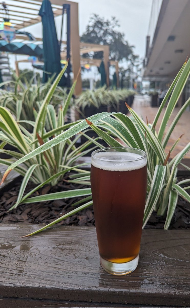 It may be a little rainy outside, but at least there's finally a nice fall breeze coming through.

We have some perfect beers for the long anticipated autumn weather, including this delicious Oktoberfest from <a href="/11belowbrewing/">11 Below Brewing</a>.

#drinklocalbeer #htxcraftbeer #theion #ionhouston