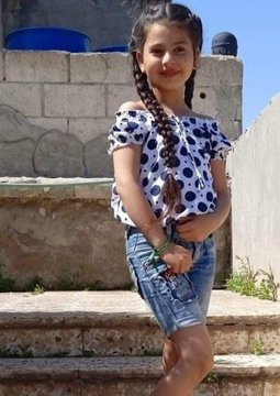 Irudia