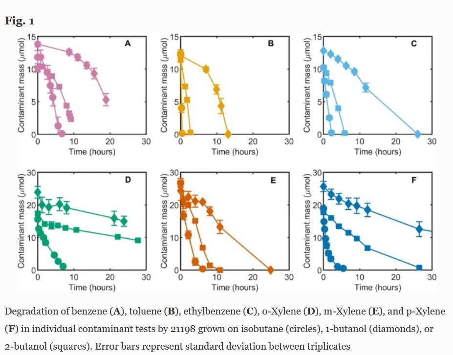 OSU_EHSC's tweet image. 🔥NIEHS Hot Paper!
Oregon State researchers uncovered the ability of Rhodococcus bacteria — microorganisms with bioremediative properties — to remove contaminants from drinking water under different environmental conditions. 

ow.ly/ihvl50PTeQk
#NIEHSfunded  #remediation