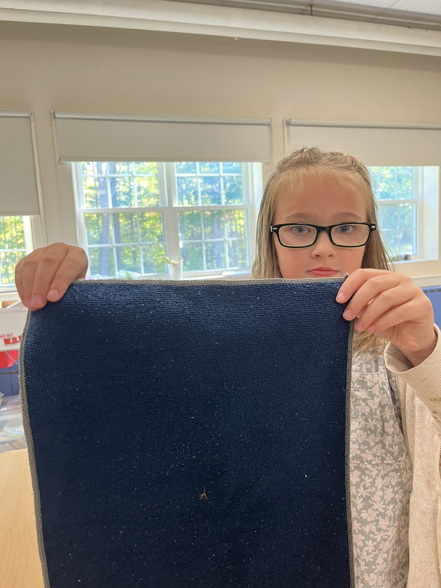 2ndHdes's tweet photo. Students learned about seed dispersal in science.  Pictured here are students learning if their seed moved by wind, water or animal.  #hdespride https://t.co/0ClVdd8JtZ