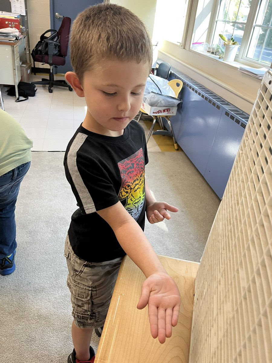 2ndHdes's tweet photo. Students learned about seed dispersal in science.  Pictured here are students learning if their seed moved by wind, water or animal.  #hdespride https://t.co/0ClVdd8JtZ